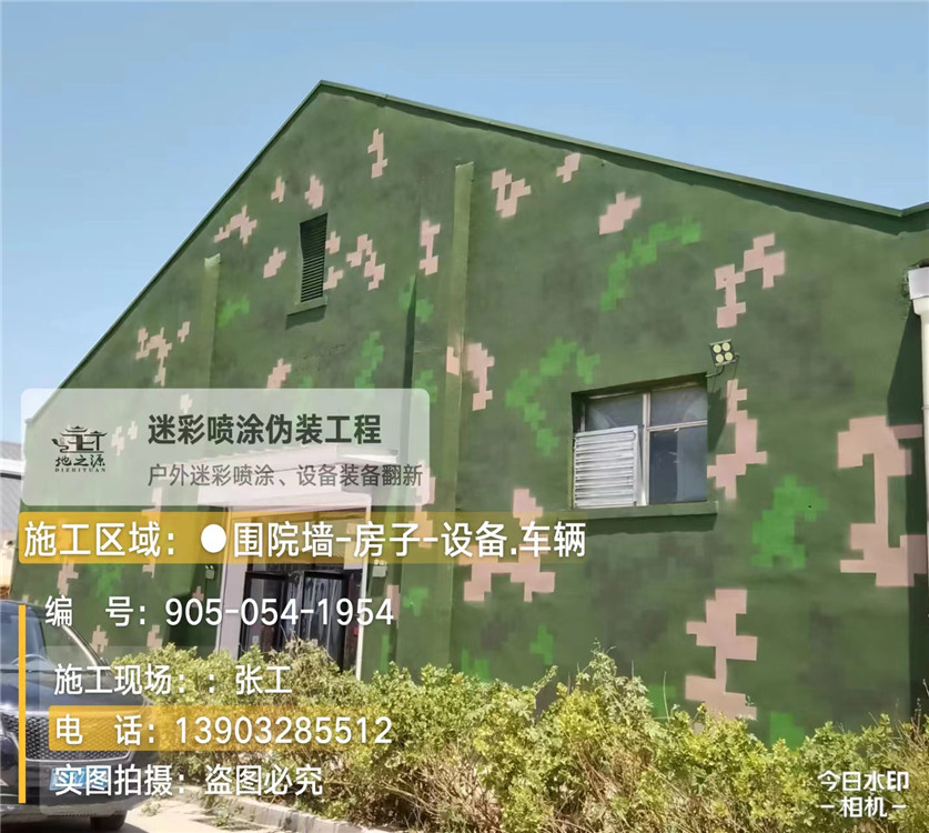盐城外墙数码迷彩漆施工报价清单（100㎡标准墙面测算）